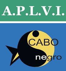 Logo partenaire A.P.L.V.I - CAMEO Cinema